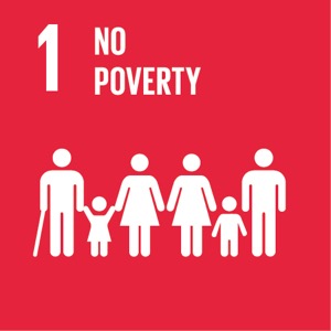 Goal 1 SDG 1