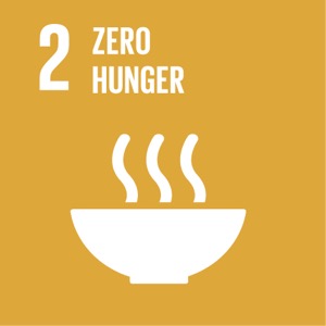 Goal 2 SDG 2