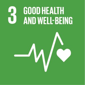Goal 3 SDG 3