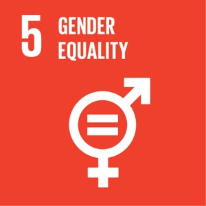 Goal 5 SDG 5
