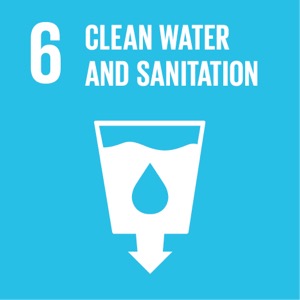 Goal 6 SDG 6