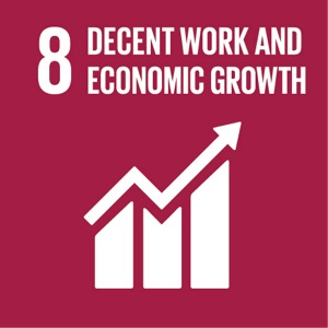 Goal 8 SDG 8