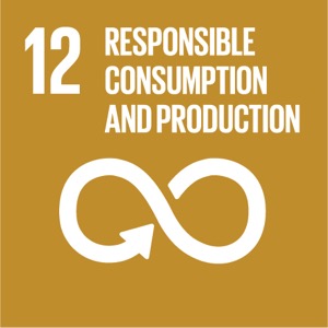 Goal 12 SDG 12