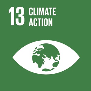 Goal 13 SDG 13