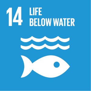 Goal 14 SDG 14
