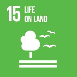 Goal 15 SDG 15