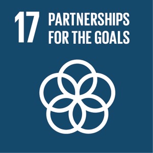 Goal 17 SDG 17